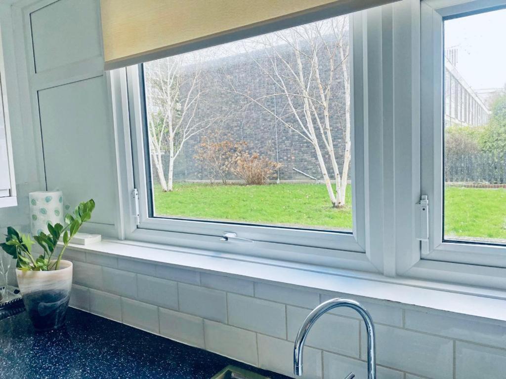 Albert Bridge Spacious Double Room London Ngoại thất bức ảnh